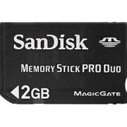 MS DUO 2Gb – Sandisk